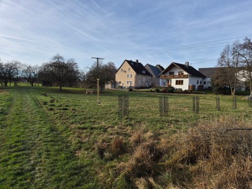 Wiese mit Obstbäumen