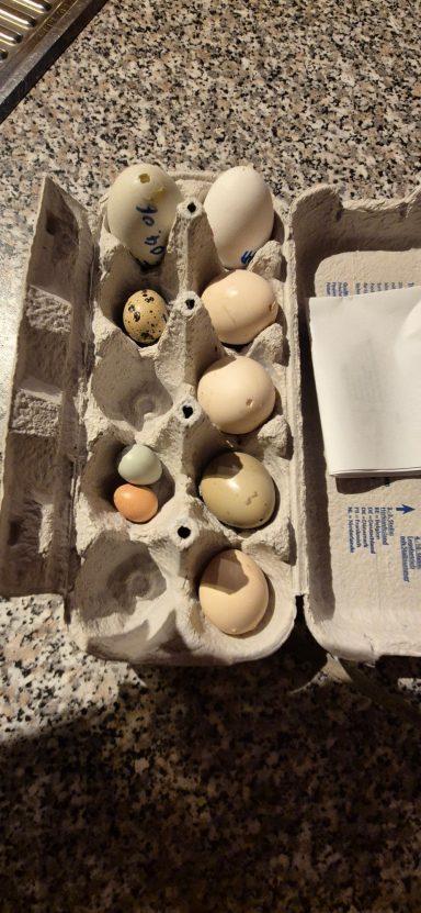 Gelege unterscheiden