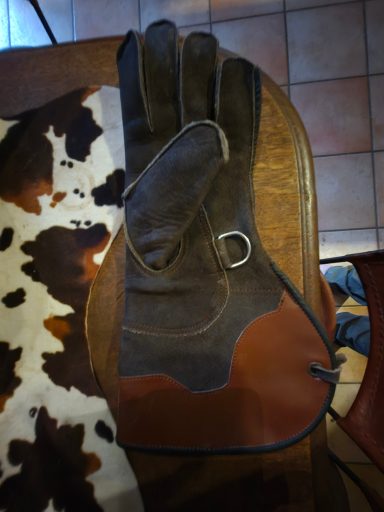 Falknerhandschuh