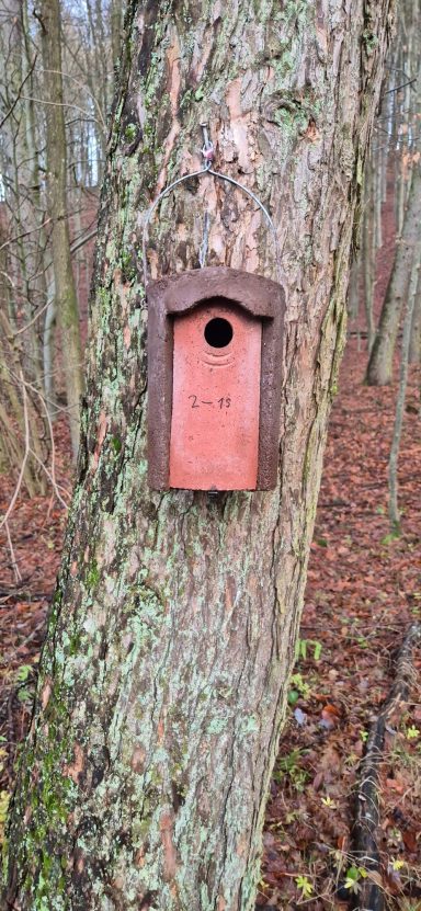 Nummeriert: Reviernummer und Kasten