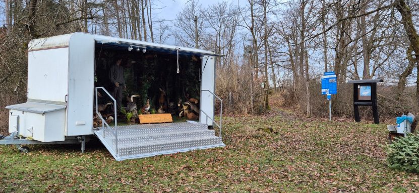 Waldschule hessisches Bildungswerk Waldschule hessisches Bildungswerk