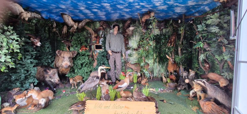 Anhänger von innen Anhänger von innen