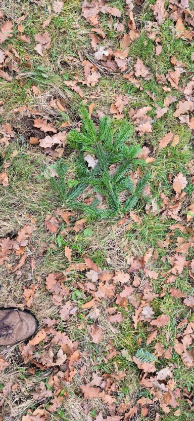 Wartebruch Wartebruch