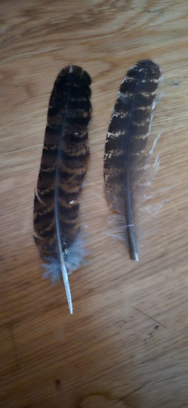 Rupfung (links), Riss (rechts)