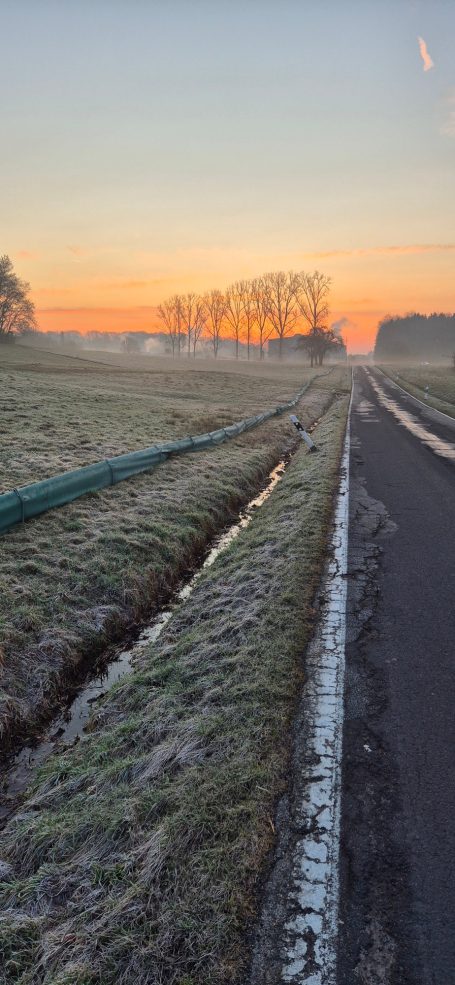 Amphibienrettung, Krötenwanderung