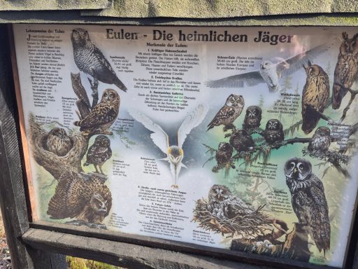 Eulen