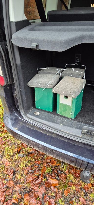 Tausch defekter Nistkästen