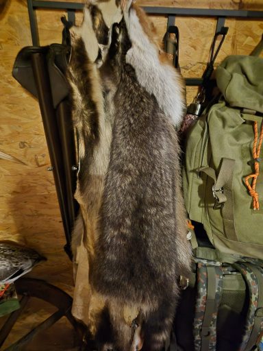 Bälge und Decken erkennen