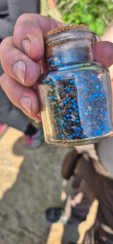 Getreidearten bestimmen