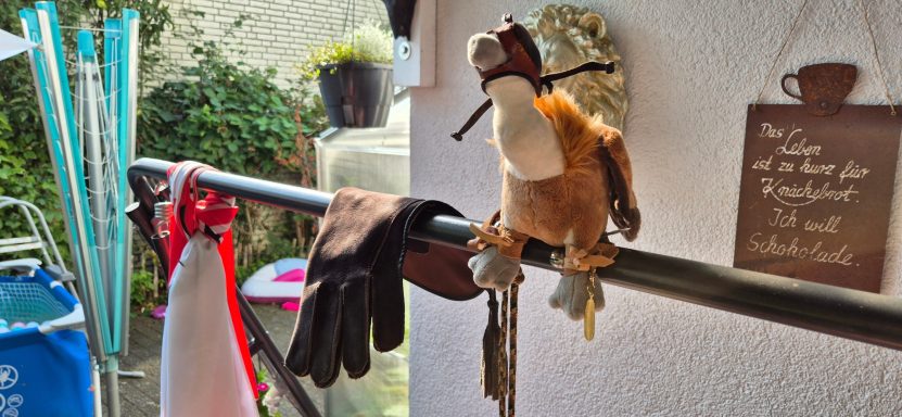 Übung für Falknerknoten