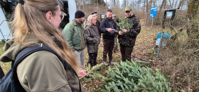 Bruchgerechte Bäume EFEKT Bruchgerechte Bäume EFEKT
