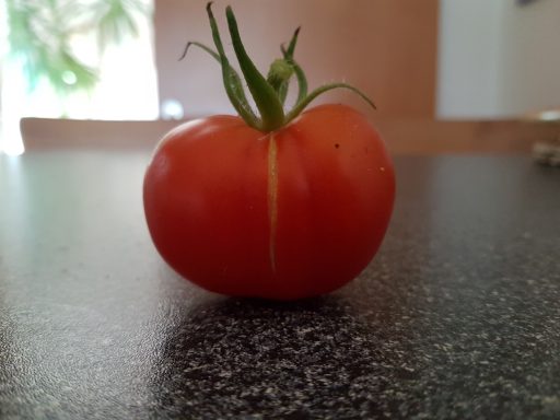 Tomate