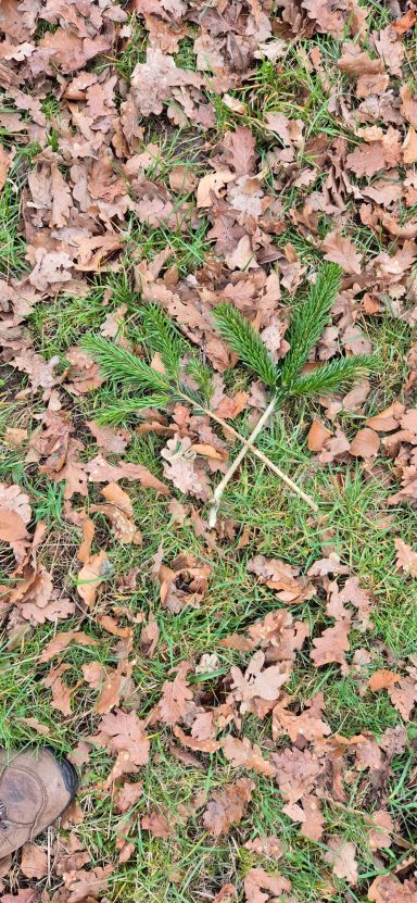 Warten aufgegeben Bruch Warten aufgegeben Bruch