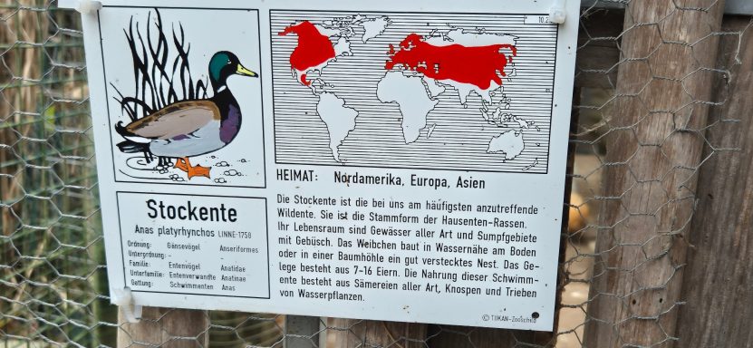 Schautafeln für alle Tiere