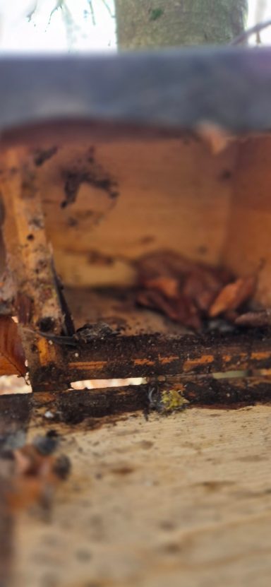 Manchmal reicht auch dünn