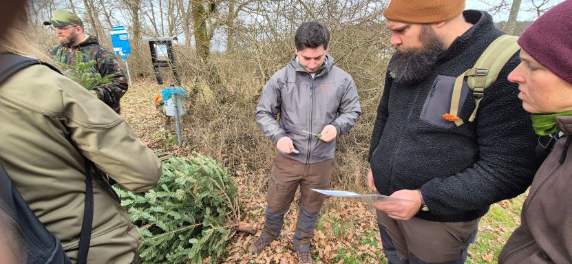 Mitteilungsbrüche bauen Mitteilungsbrüche bauen